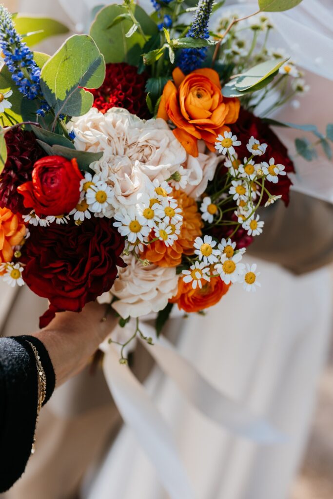 Colorado Photographer